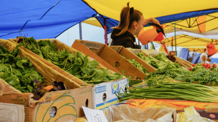 Експерт відповів, коли очікувати зниження цін на овочі - 285x160