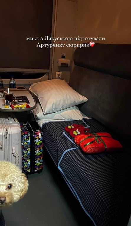 Алина Шаманская устроила сюрприз для сына