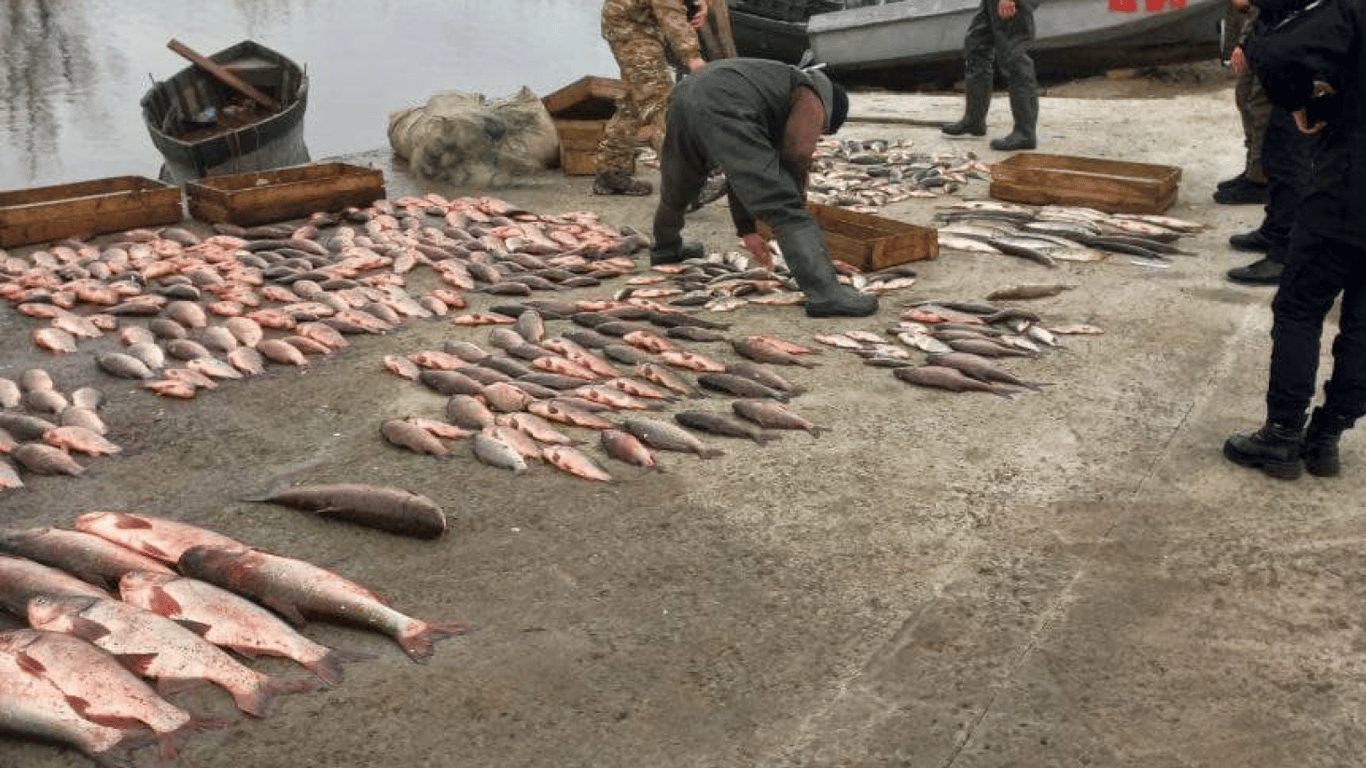 Наловили рыбы на полтора миллиона — на Одесчине задержали браконьеров