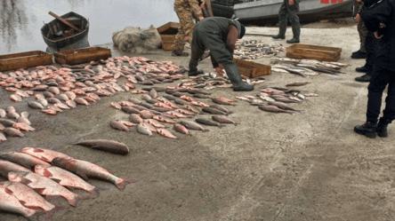 Наловили рыбы на полтора миллиона — на Одесчине задержали браконьеров - 285x160