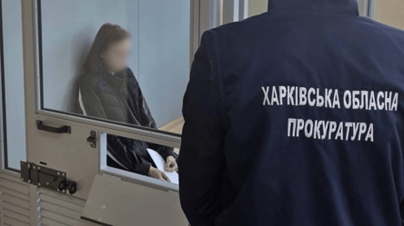 Харків’янка поширювала фейки про удари РФ і отримала вирок - 290x166