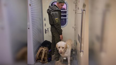 Військового зі службовою собакою не пустили всередину потяга — що кажуть в Укрзалізниці - 290x160