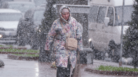 Зима вдарить з новою силою — синоптики попередили про небезпечну погоду - 290x160