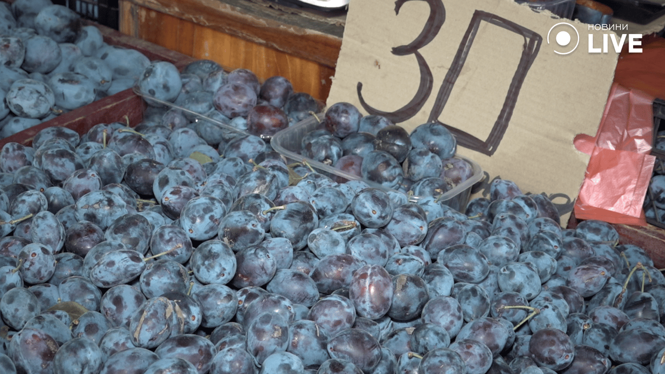 Вартість сливи на Черемушках 