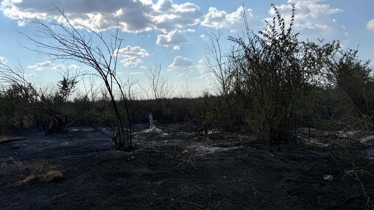 Горить сміттєзвалище