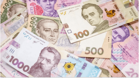 Перехід ФОП на ПДВ — депутатка озвучила можливі збитки для Києва - 290x166