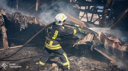 Масштабна пожежа на складах із зерном на Одещині — у ДСНС показали фото наслідків - 290x166