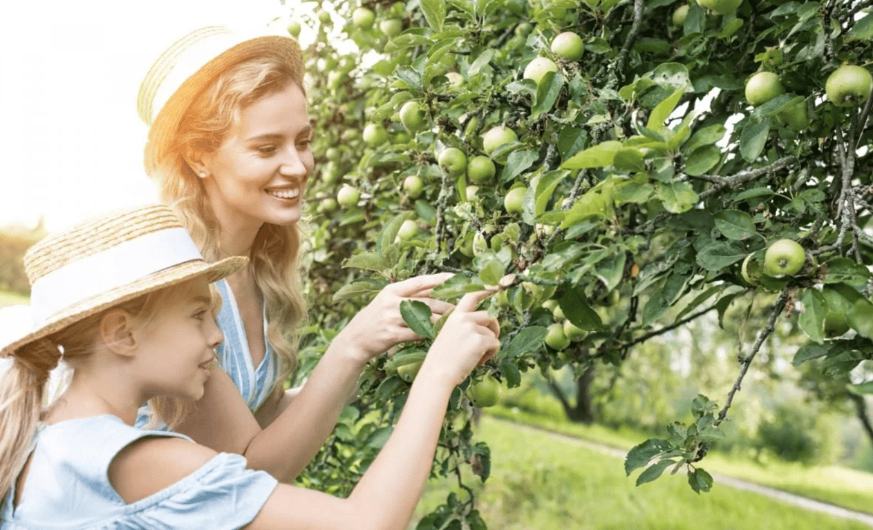 Женщина с девушкой возле яблони