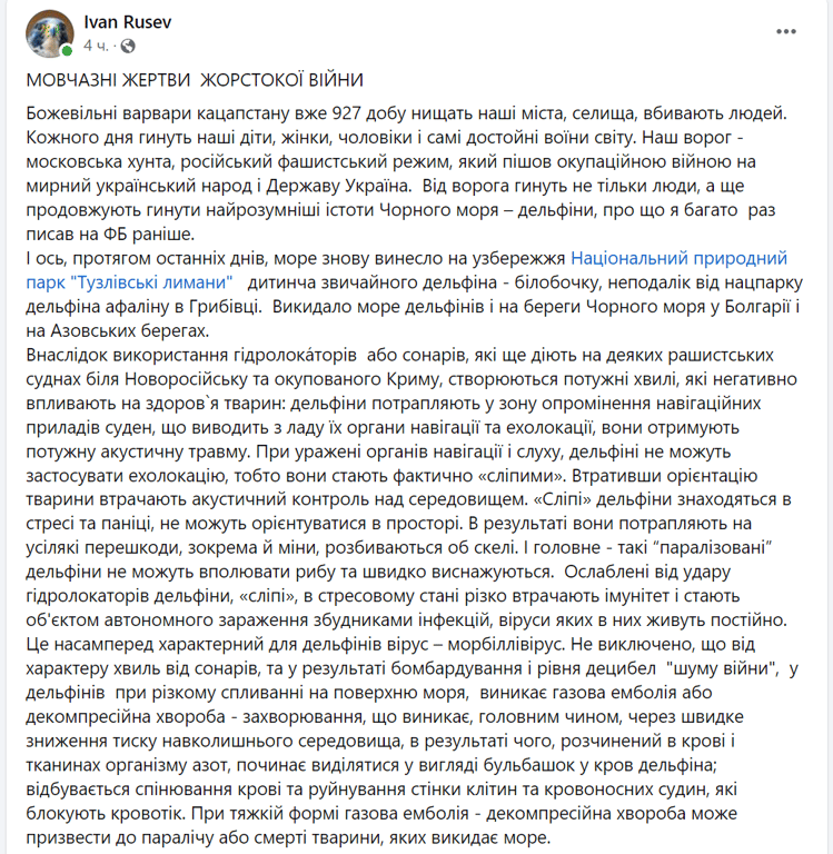 Війна в Чорному морі — на берег Одещини винесло двох дельфінів - фото 1