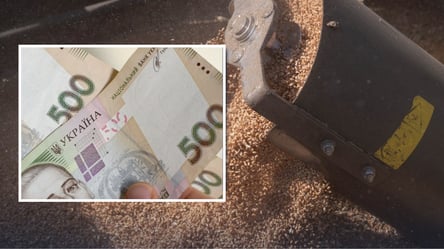 Экспорт пшеницы из Украины подорожал — какие цены сейчас - 285x160