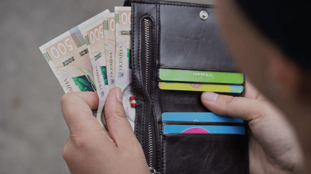 "Зимняя поддержка" 2025 — какие товары можно купить на Укрпоште - 290x166