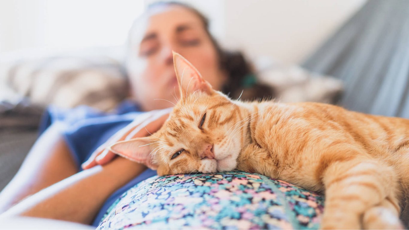 Почему кошки спят на человеке? Ученые озвучили неожиданную причину
