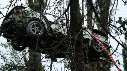 После атаки РФ на Киев авто оказалось на дереве — что произошло - 285x160