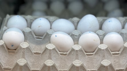 В АТБ відмовилися від старих цін на яйця — що стало з вартістю - 285x160