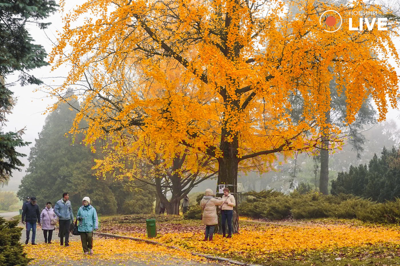 Погода на вересень 2025