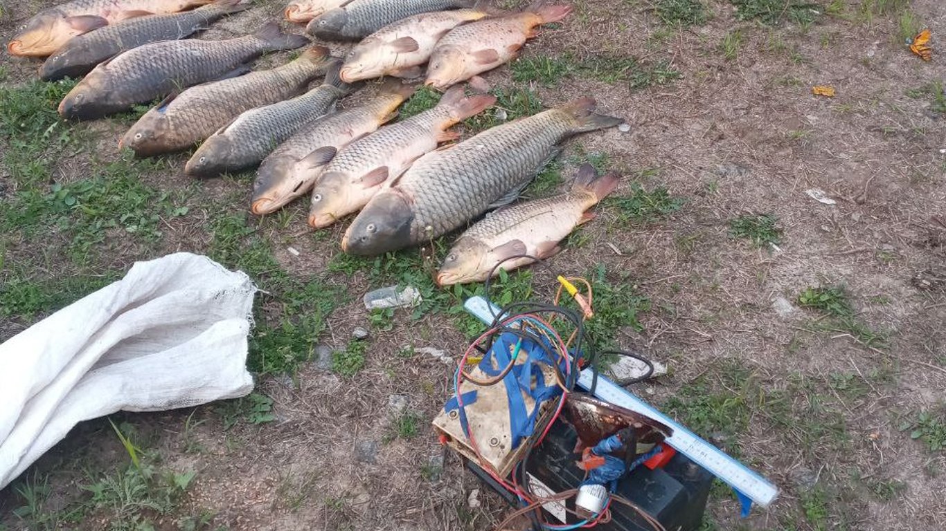 На Одещині затримали рибних браконьєрів