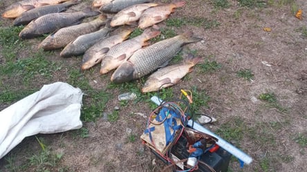 Наловили рыбы на 58 тысяч гривен: в Одесской области задержали браконьеров - 285x160