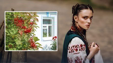 Почему калину боялись садить возле дома — что знали наши предки - 285x160
