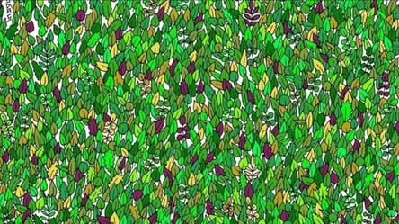 Очень сложная оптическая иллюзия: только 1% найдет скрытую в листьях лягушку - 285x160