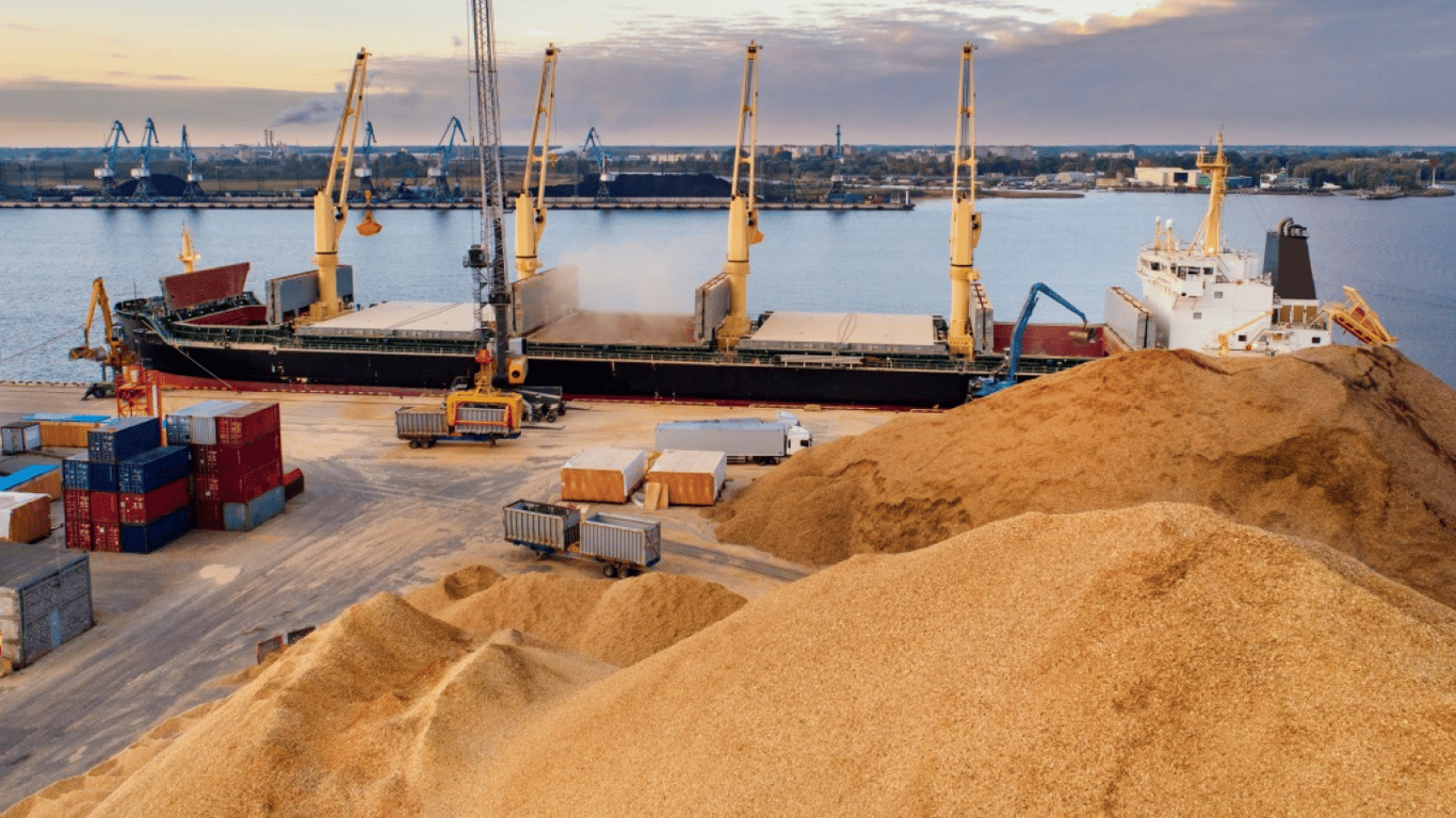 Стало известно, сколько тонн зерна россияне вывезли с оккупированных территорий за год