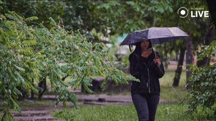 Заморозки и дожди — народный синоптик Диденко удивила украинцев погодой на завтра - 285x160