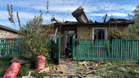 Ракетний удар по Києву: загинули три покоління однієї родини - 290x166