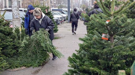 Чи планують кияни ставити ялинку вдома — традиції та виклики - 290x166