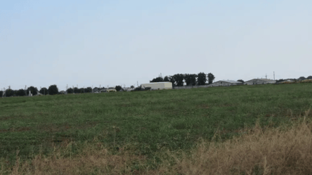 Ощадбанк выставил на продажу 60 гектаров земли под Одессой - 285x160