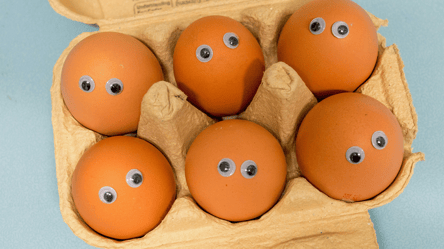 Яйця знову стають "золотими" — де купити за найнижчими цінами - 285x160