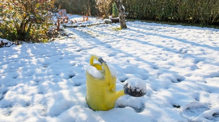 Що обов’язково зробити на городі та в саду вже зараз - 285x160