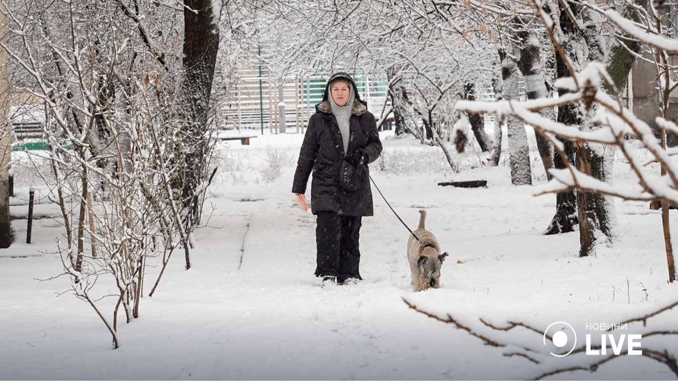 Погода в Украине 22 декабря - где ожидать непогоду
