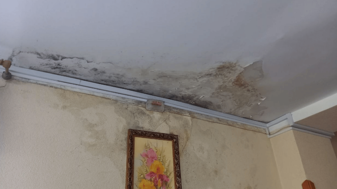 С плесенью на стенах и отсутствие помощи: пациенты Львовского пансионата живут в ужасных условиях