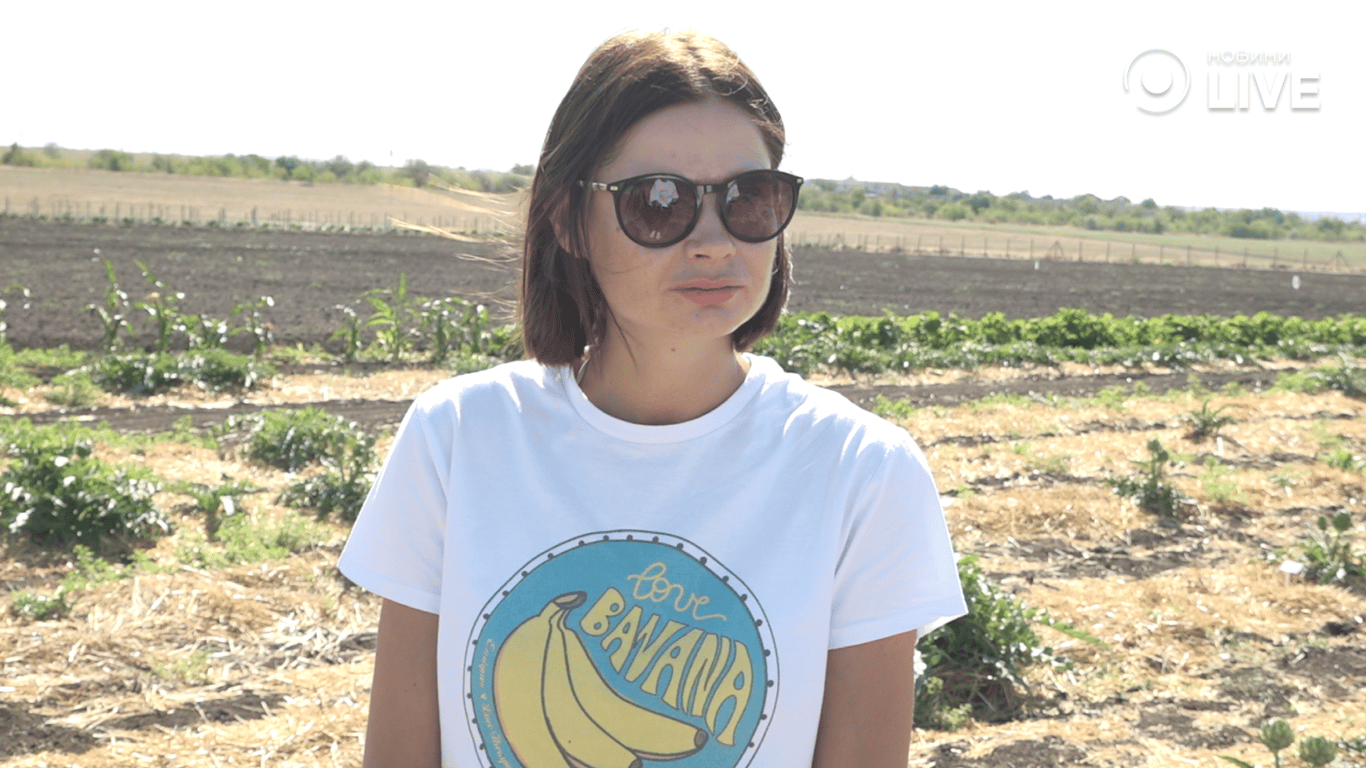 директорка компанії Bonelet Аліною Сіденко про артишоки 