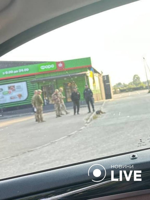 перевірка авто на Київщині