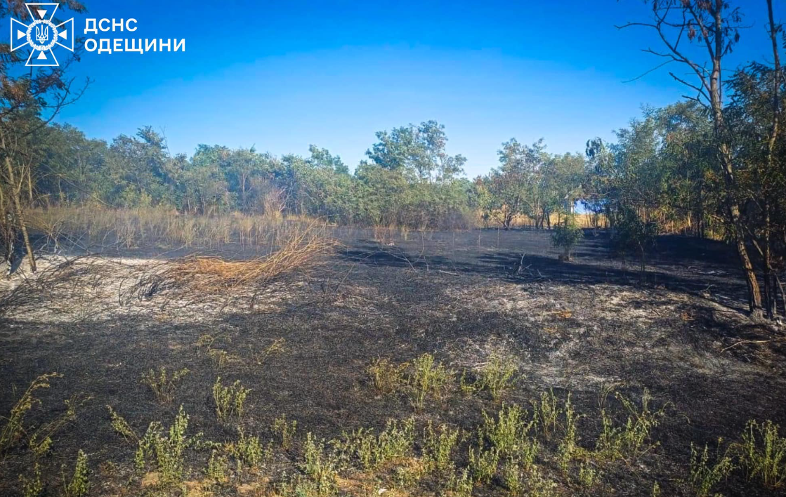 Вигорілий схил в Одесі