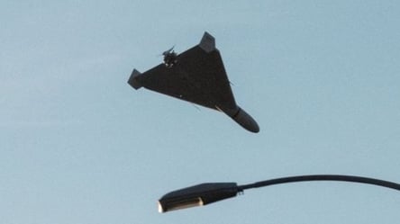 Житель Одещини власноруч збив російський дрон: деталі - 285x160