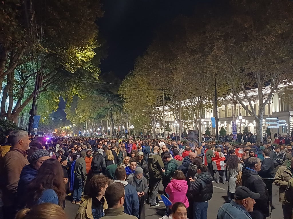 грузія в протестах
