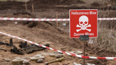 Окупанти обстрілюють поля України, щоб вбити економіку, — NYT - 285x160