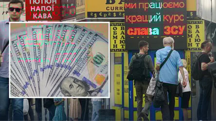 НБУ продал 120 млрд долларов во время войны: кто в Украине покупает валюту - 285x160