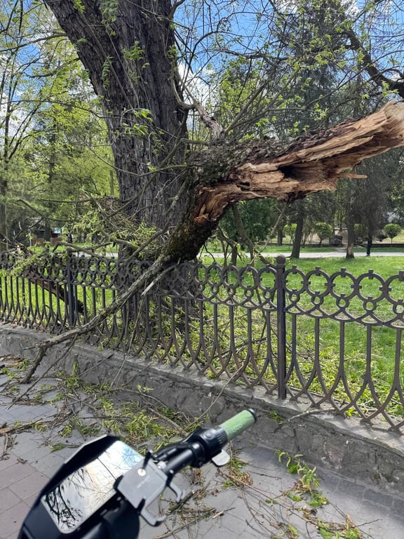 Сильний вітер в Івано-Франківську 26 квітня