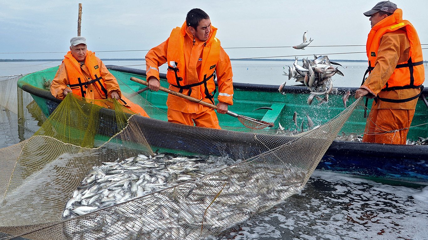 Вперше за 25 років оновили правила лову риби в Чорному морі: що слід знати