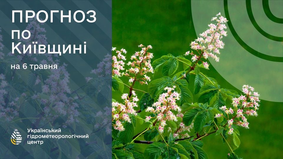 Погода в Киевской области 6 мая. Фото: Укргидрометцентр