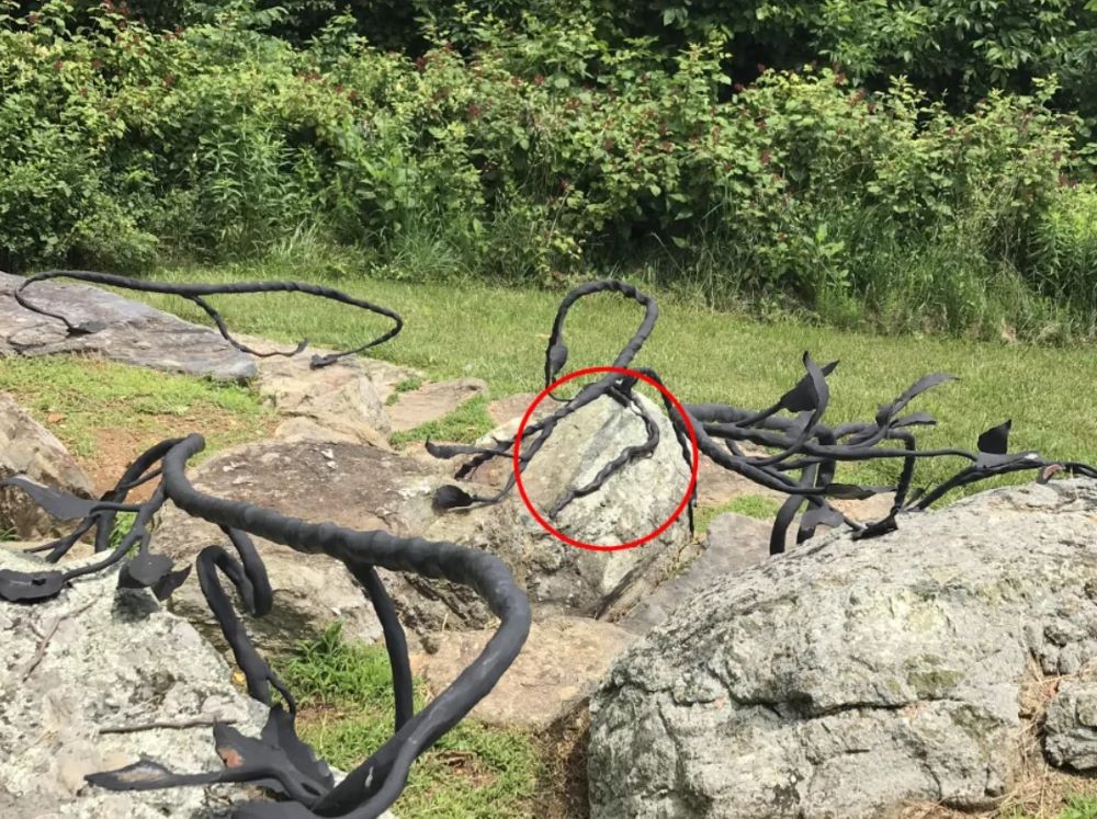 Складне завдання для геніїв — знайдіть змію на скульптурі з виноградною лозою - фото 2