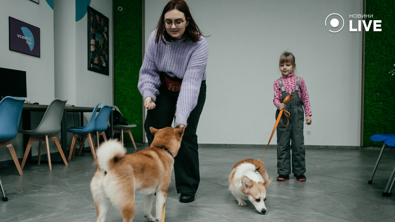 Тренування собаки