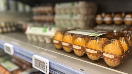 В Україні подешевшали курячі яйця: що стало з цінами в супермаркетах - 285x160
