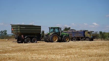 Цены на кукурузу в январе удивляют — стоимость зерна в Украине - 285x160