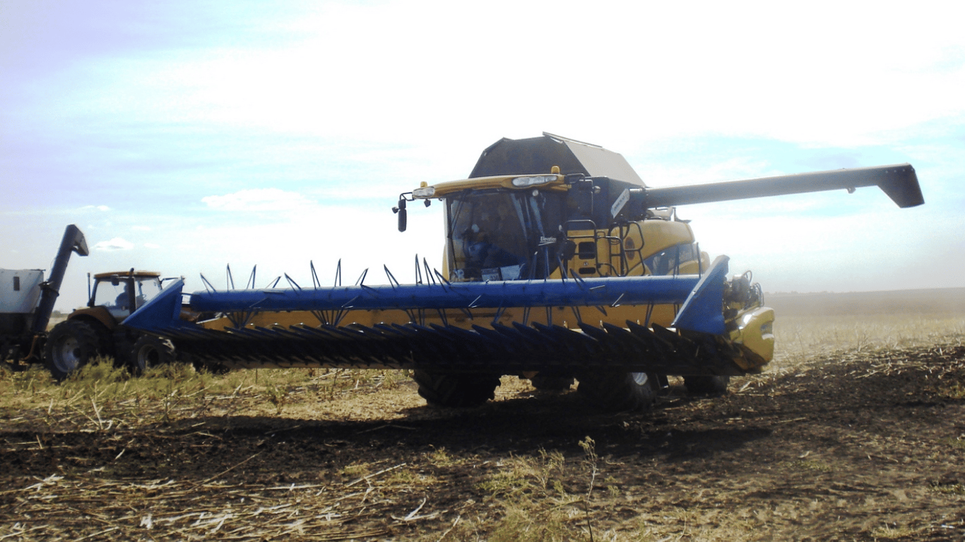 Ціни на зернові в Україні станом на 29 червня 2024 року — скільки коштує соняшник