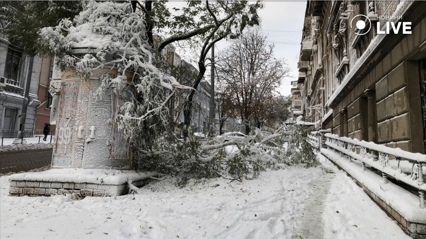 Наслідки снігової негоди — ситуація на Одещині станом на ранок