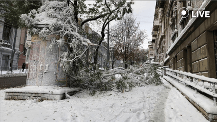 Наслідки снігової негоди — ситуація на Одещині станом на ранок - 285x160