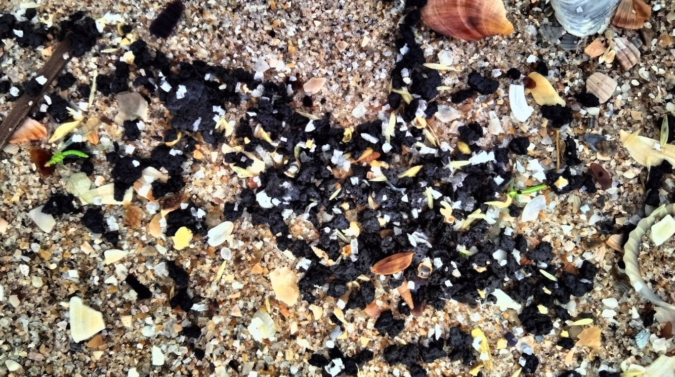 Мазут на узбережжі Одещини